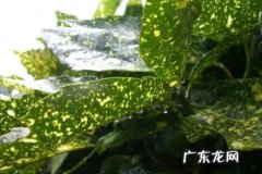2022年上海梅雨季节热吗,上海梅雨季节持续多久？