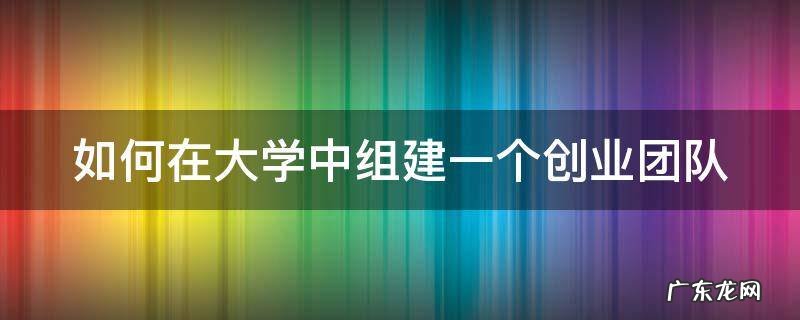 如何在大学中组建一个创业团队