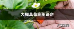 大棚草莓施肥方案，什么时候施肥,自家种的草莓怎么施肥？