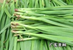 吃韭菜嘴巴里有味道怎么办呢,吃韭菜后怎样去除口气？