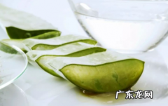芦荟吃多了对身体有什么影响,芦荟对男性功能有用吗？