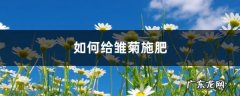 雏菊施肥方法，用什么肥好,尿素肥水养鱼施肥方法？