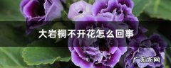 大岩桐不开花怎么回事，怎么催花,大岩桐叶子发软咋回事？