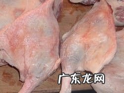 鸭肉炖茶树菇怎么做窍门 茶树菇焖鸭肉的制作方法教程