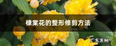棣棠花的整形修剪方法,第十章园林树木整形修剪？