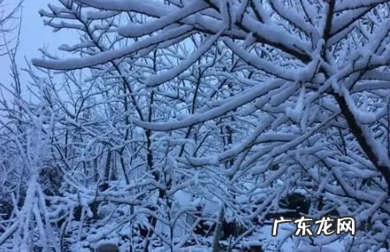 2021-2022东北雪季持续多久,东北雪季什么时候结束?
