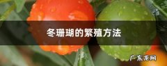 冬珊瑚的繁殖方法,二十年的冬珊瑚图片？