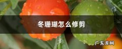 冬珊瑚怎么修剪,珊瑚豆盆景造型大全？