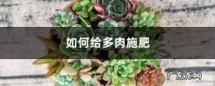 多肉施肥方法，用什么肥好,多肉怎样施肥又大又肥？