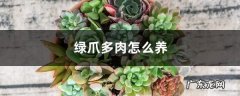 绿爪多肉怎么养，怎么繁殖,多肉艳日辉怎么养护？