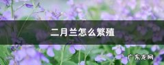 二月兰怎么繁殖,月季长太高了怎么修剪？