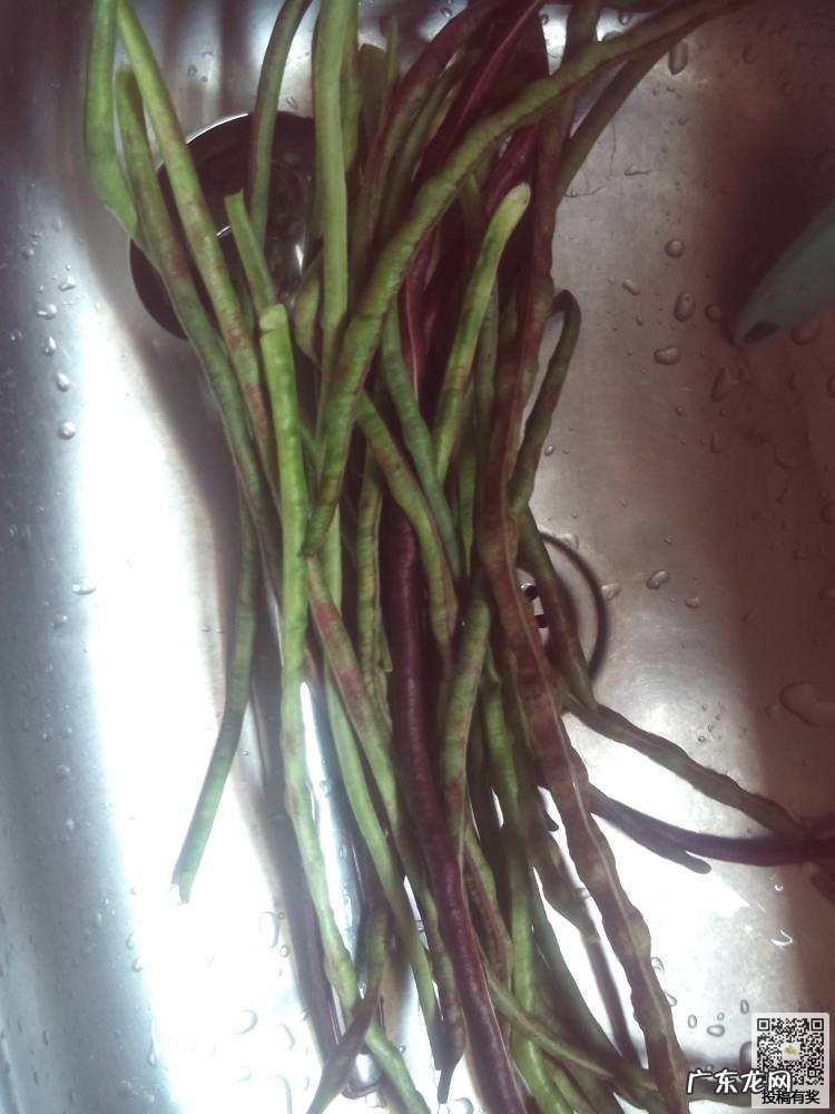 油焖长豆角的做法大全家常菜 油焖豆角的制作方法教程