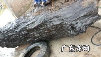 阴沉木市场价格多少钱一斤,阴沉木价格行情如何?