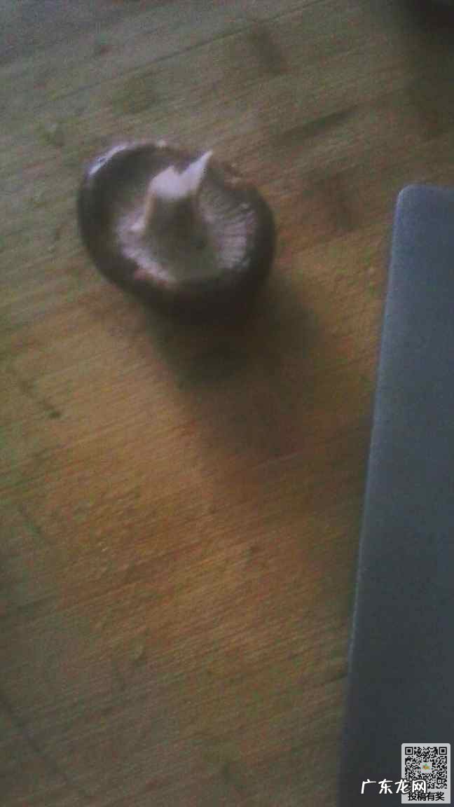 怎样做油焖菠菜 油焖菠菜的营养做法教程