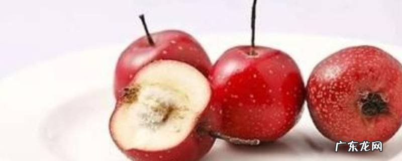 山楂变软怎么办,山楂硬的可以变软吗
