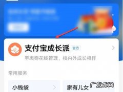 小天才手表支付宝怎么设置金额,小天才电话手表支付宝充值？