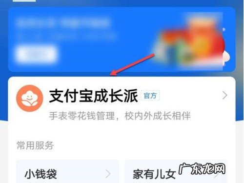 小天才手表支付宝怎么设置金额,小天才电话手表支付宝充值?