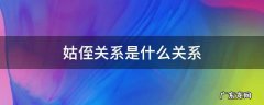 姑侄关系是什么关系,姑侄关系是什么意思