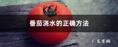 番茄浇水的正确方法，浇水什么时间最好,西红柿浇水注意？
