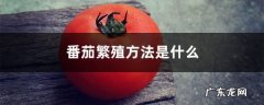 番茄繁殖方法是什么，是用什么繁殖的,西红柿的繁殖方式？