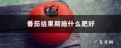 番茄结果期施什么肥好，如何施肥,小番茄开花了施什么肥？