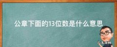 公章下面的13位数是什么意思?,公章是15位还是13位的