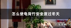 怎么使龟背竹安全度过冬天，冬天会冻死吗,龟背竹耐寒的最低温度？