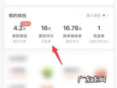 美团还款在哪里找,美团协商还款电话？