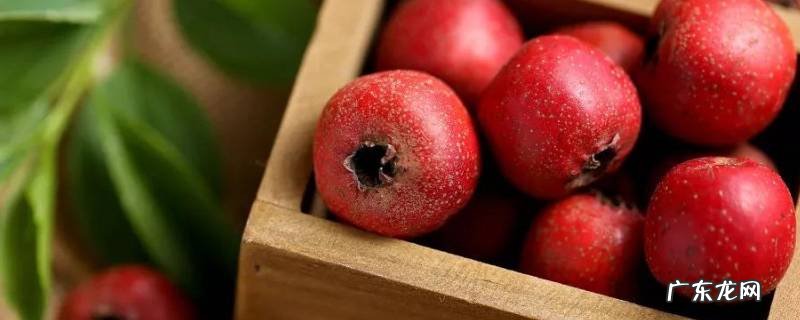 山楂算发物吗,山楂算发物吗是真的吗