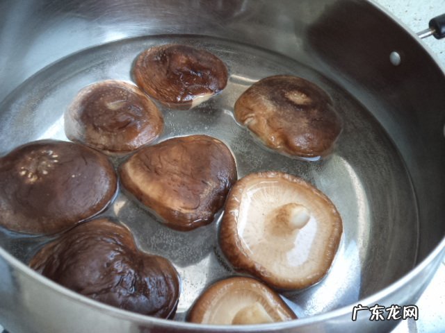 香菇韭菜盒子的做法 煎香菇盒子的制作方法教程