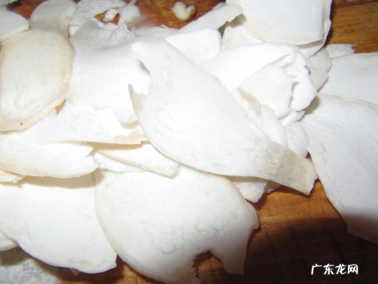 香煎杏鲍菇图片 美味香煎杏鲍菇的做法推荐