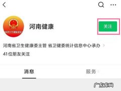 河南健康码微信怎么查