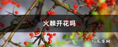 火棘开花吗,火棘怎样修剪才能开花结果？