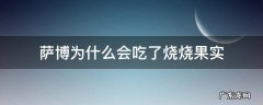 萨博为什么会吃了烧烧果实
