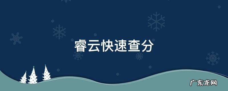 睿云快速查分