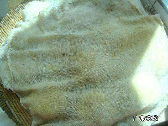 玉米饼怎么做最好吃 玉米饼简单好吃的做法