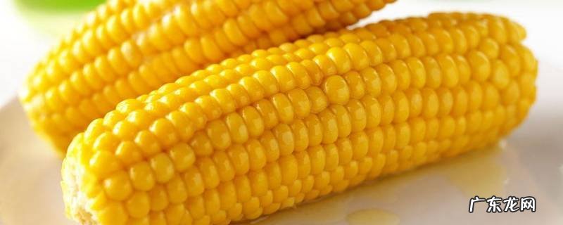 玉米是熟冻好还是生冻好,鲜玉米是生的冻好还是熟的冻好呢