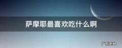 萨摩耶最喜欢吃什么啊