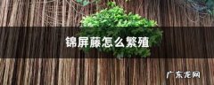 锦屏藤怎么繁殖,锦屏藤怎样过冬？
