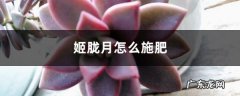姬胧月怎么施肥？适时调整效果好！,胧月和姬胧月的区别？