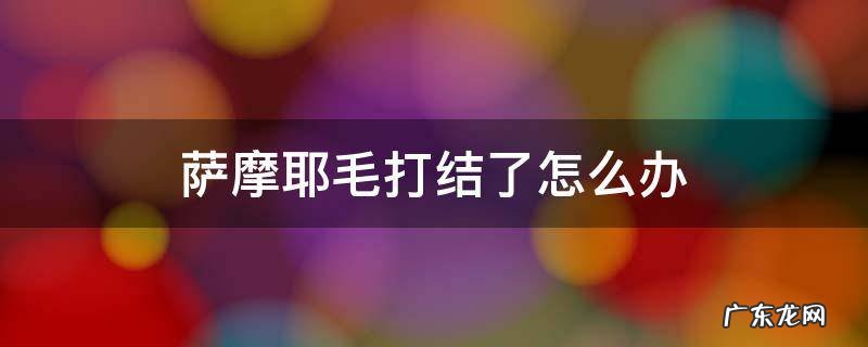 萨摩耶毛打结了怎么办