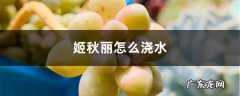 姬秋丽怎么浇水,怎么养才能爆盆,紫乐多肉植物怎么爆盆？