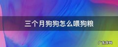 三个月狗狗怎么喂狗粮