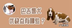 史宾格犬 巴吉度犬优缺点有哪些