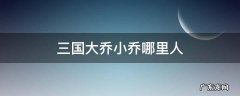 三国大乔小乔哪里人