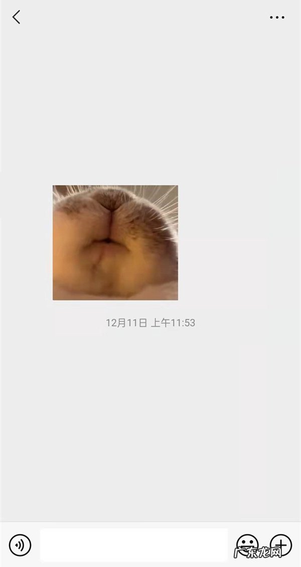 微信把图片添加到表情,微信长按图片没有添加到表情？