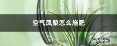 空气凤梨怎么施肥,空气凤梨用什么肥料？