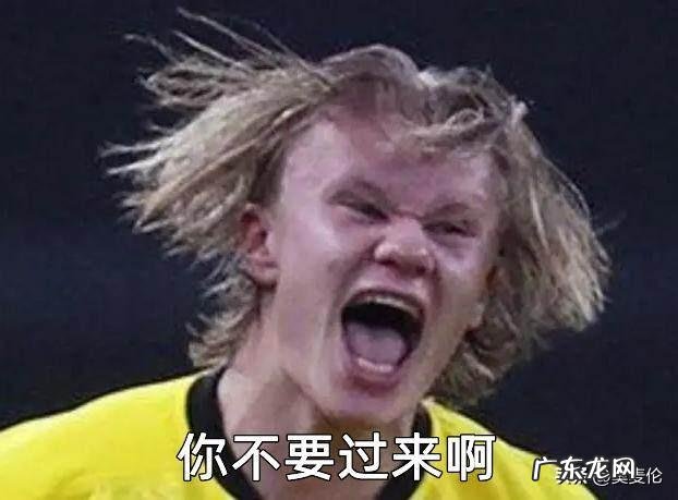 文化之窗丨世界杯就是为伪球迷准备的 世界杯伪球迷指南