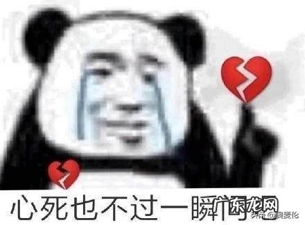 文化之窗丨世界杯就是为伪球迷准备的 世界杯伪球迷指南