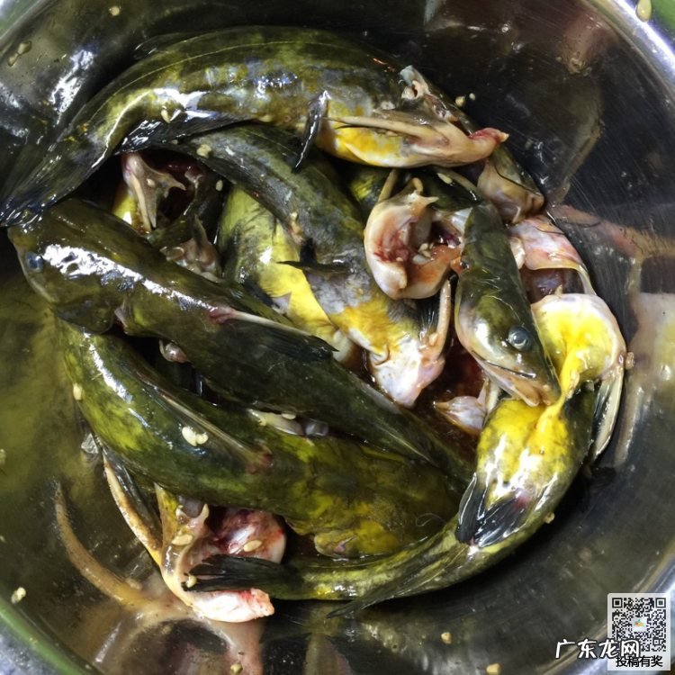 酸鱼汤怎么做好喝又营养 酸汤鱼怎么煮美味又营养